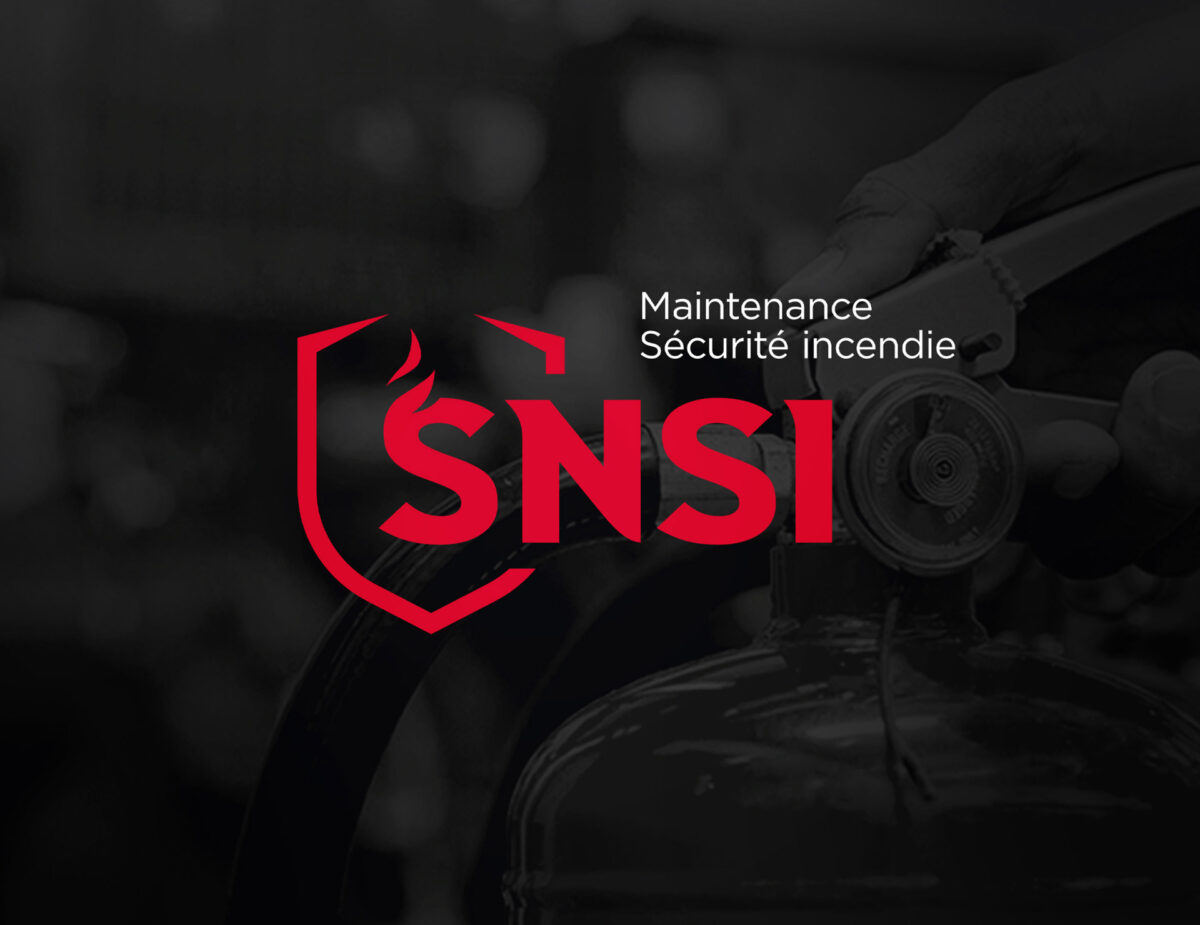 Logo SNSI